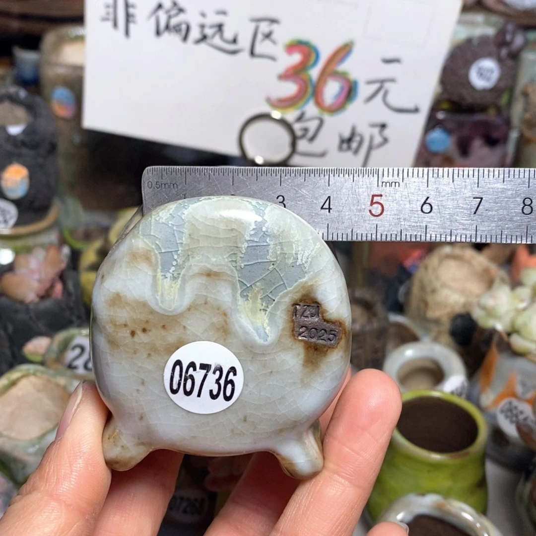 花盆拍3送一个小礼物