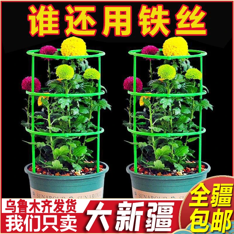 新疆包邮花架子支撑杆室内家用植物防倒伏架花卉爬藤架绿萝蟹爪兰