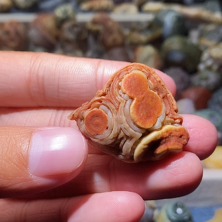 石头精品眼睛单科