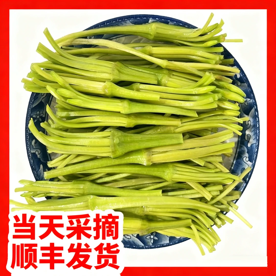 【顺丰包邮】云南大理水性杨花海菜花新鲜现采现发特色生鲜农副产品