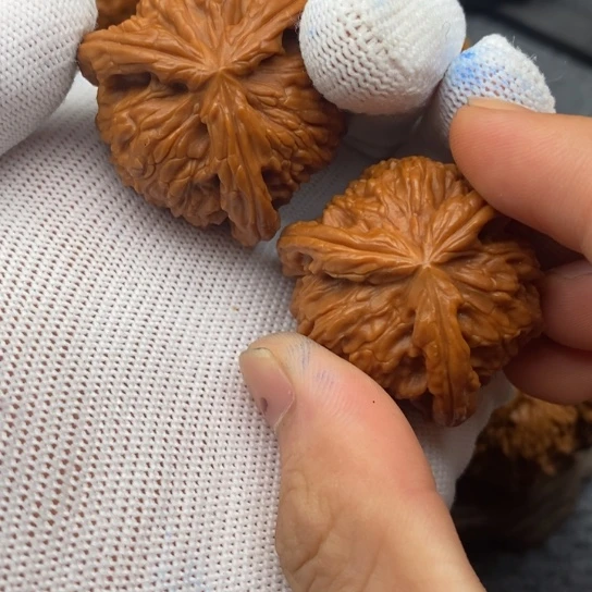 Q**糖白狮子11111111111111