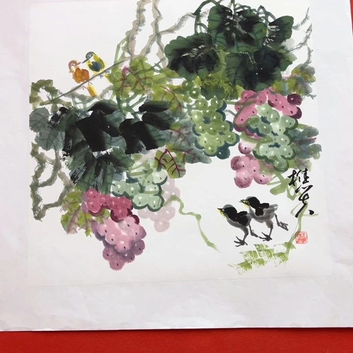 国画花鸟的翅膀和翅膀都是白色50.50