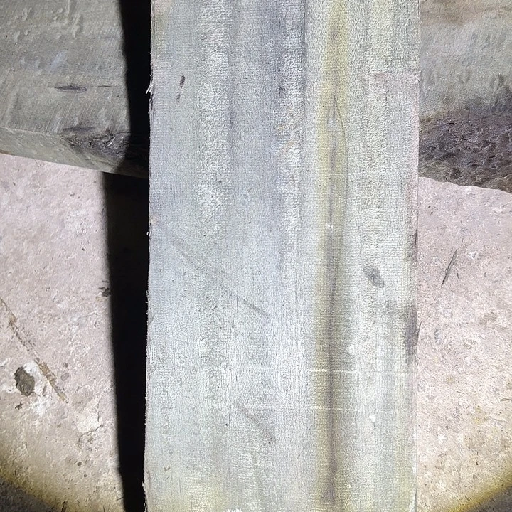 忘***初金丝楠啊啊啊啊啊啊啊