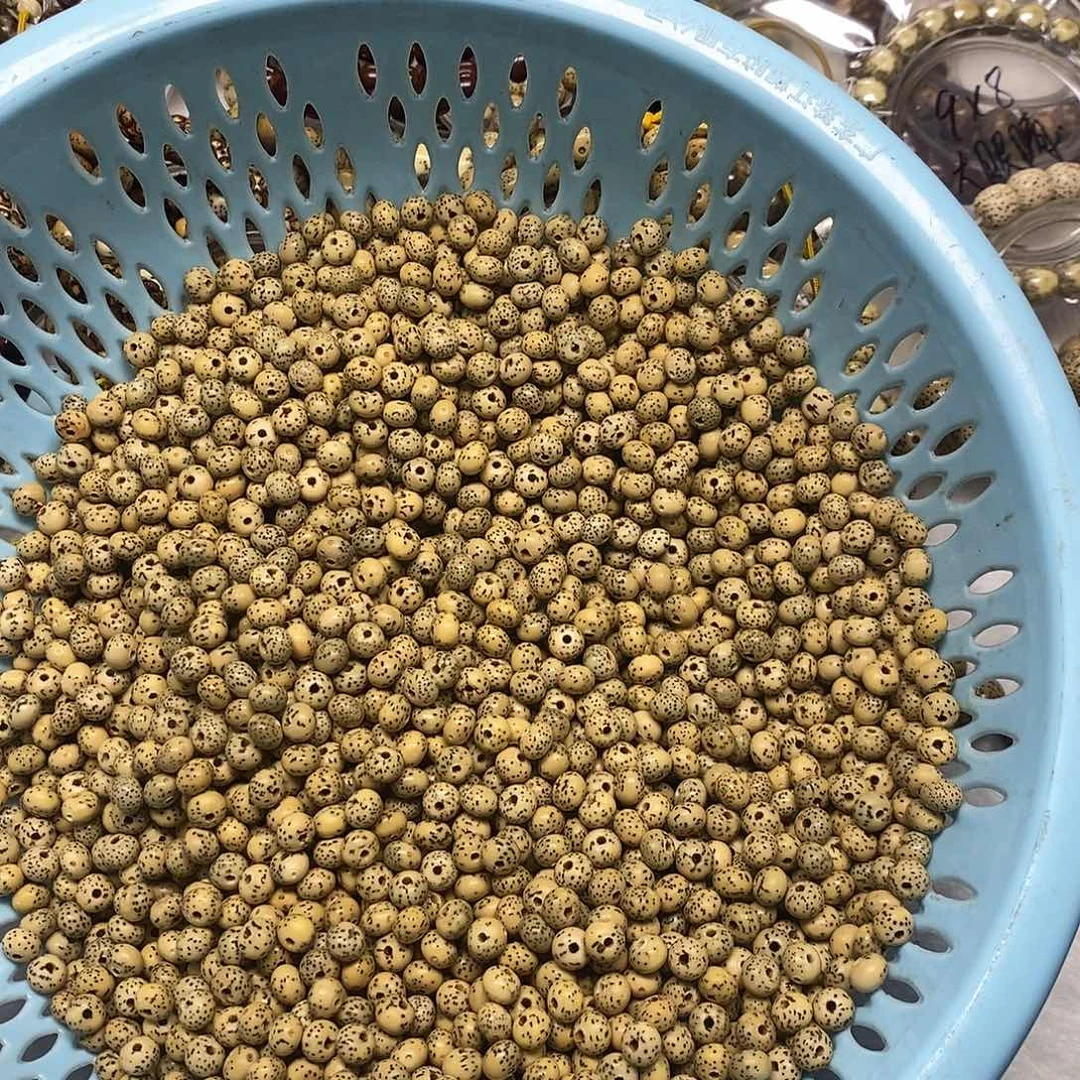 星月菩提吊坠卡8    8苹果