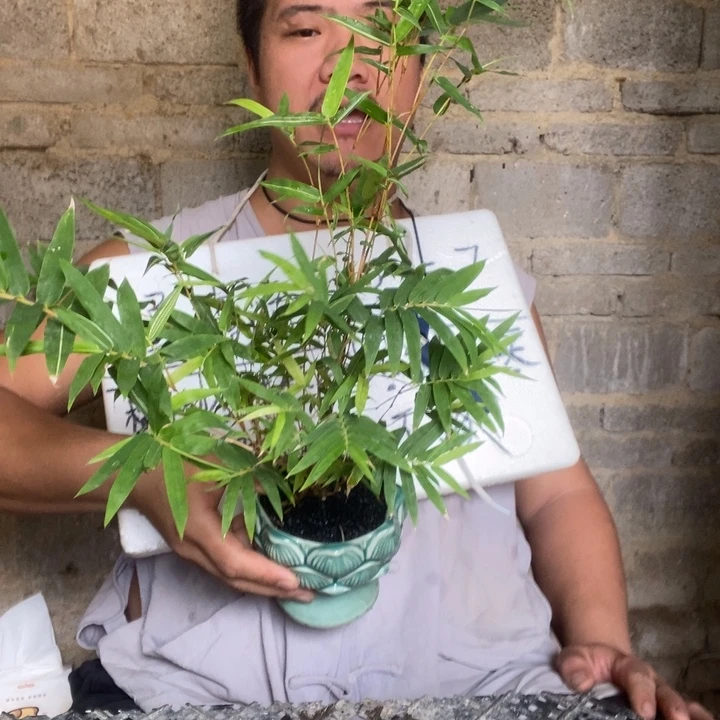 退款拉黑一物一拍68