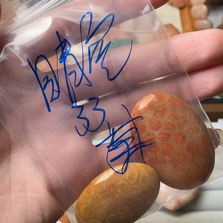 *****硅化玉未镶嵌颈饰