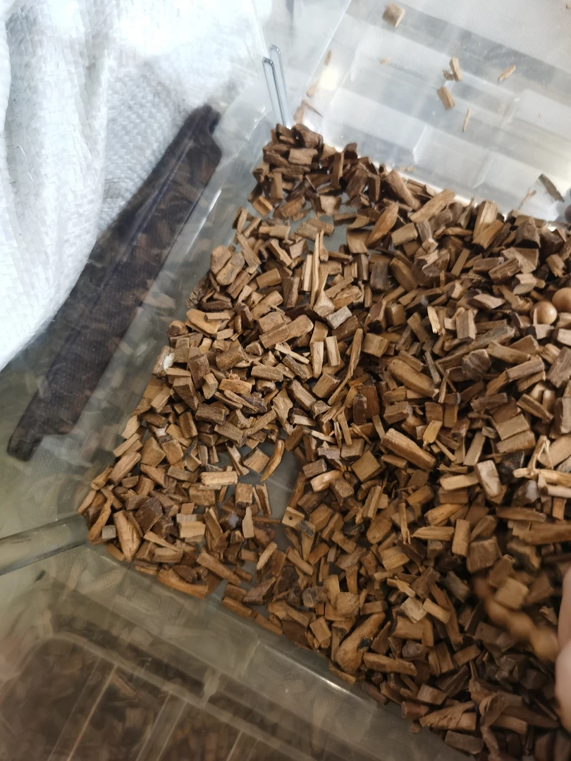 老山檀香100克黑肉颗粒，多样性发其一