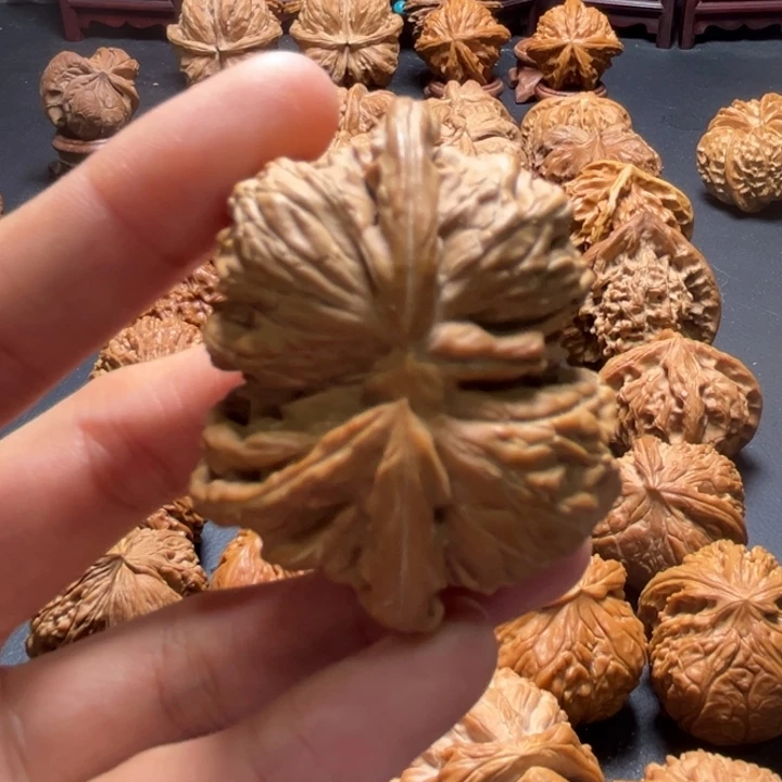 白狮子连体49尺寸单只核桃哈哈哈哈哈哈