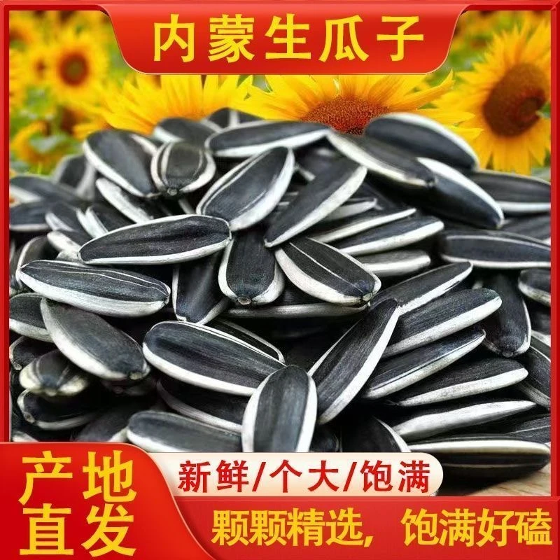 【买一斤送一斤】内蒙古原味生瓜子散装精选葵花籽新货