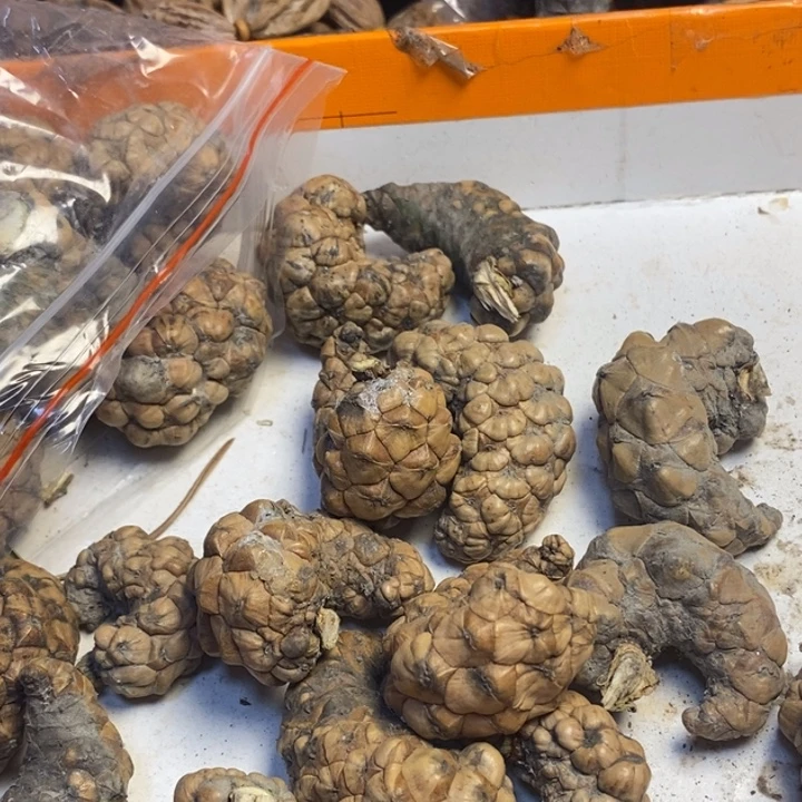 吊坠文玩核桃东北特产60