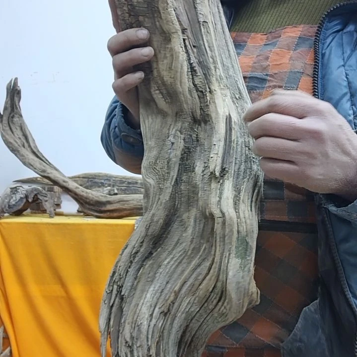 风车木（黑檀木）娃*