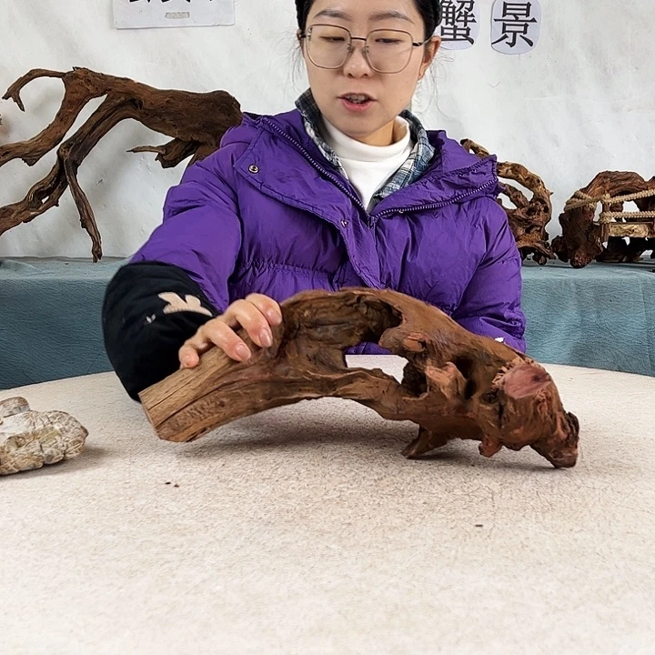 沉木造景爬宠造景