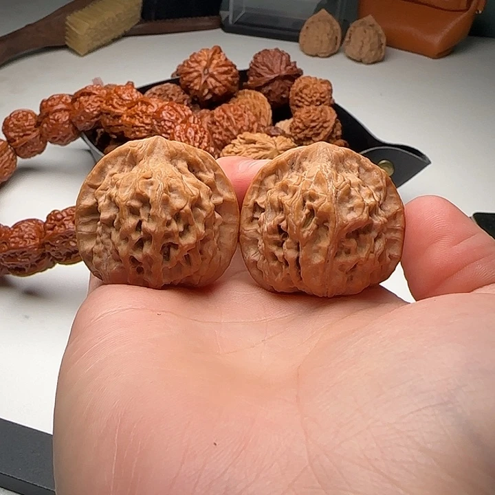 37-34-34一代天地A11号