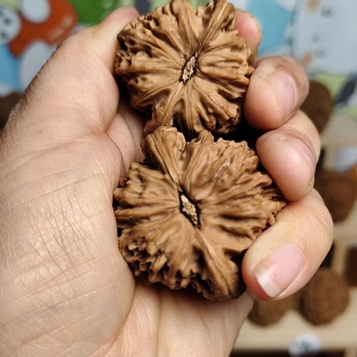 庄***顺涿鹿文玩核桃南将