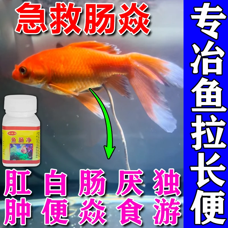 锦鲤金鱼罗汉鹦鹉鱼肠焱症长便拖尾急救调理肠胃水族专用脱肛内寄