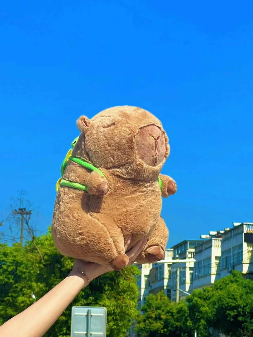 【40cm】卡皮巴拉抱枕1个