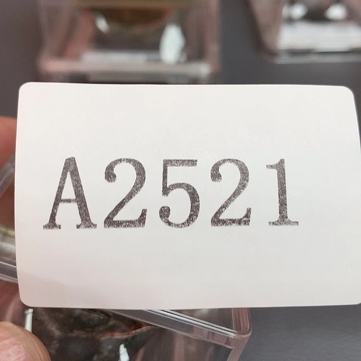 苏****有机玻璃摆件122331122摆件