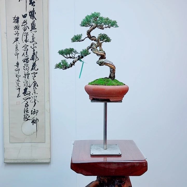 苏***完全开放一物一拍济州