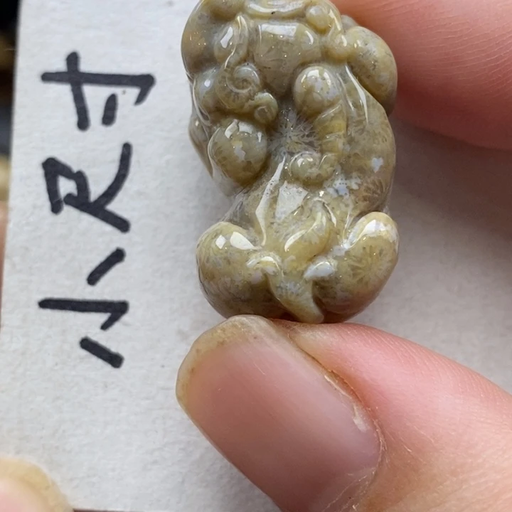 硅化珊瑚（珊瑚玉）未镶嵌颈饰
