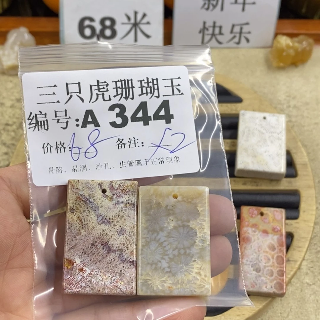 硅化珊瑚（珊瑚玉）1未镶嵌元*