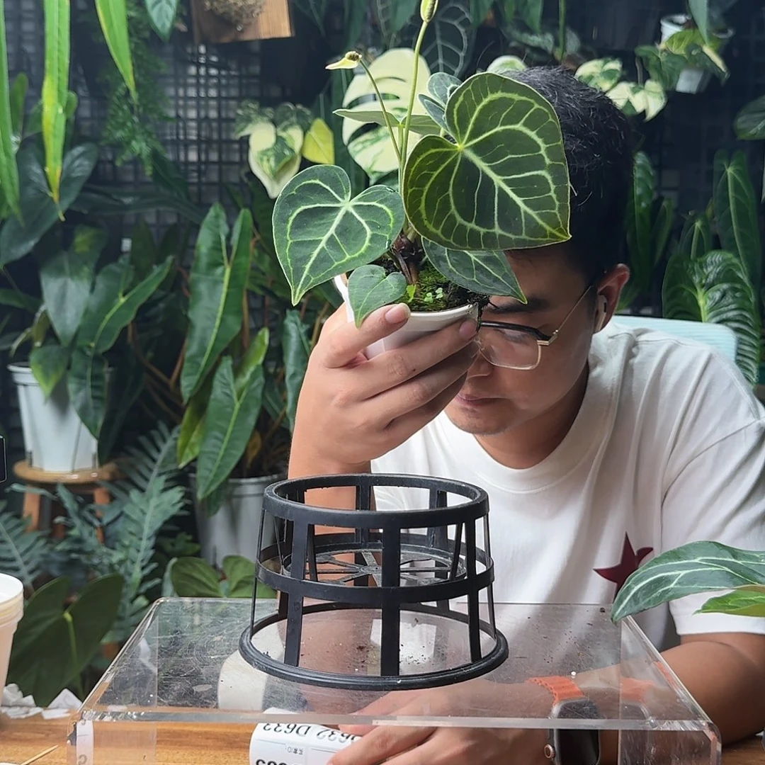 L***人无花朵一物一拍D632