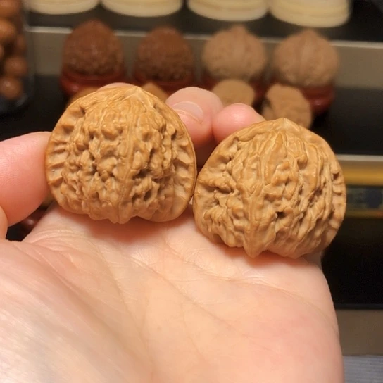 特价福利：三角白