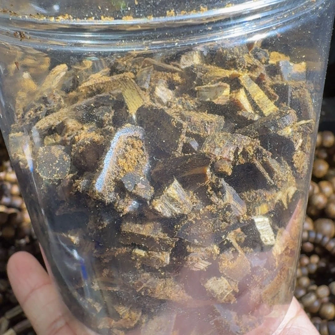 h***e沉香沉香碎屑海南乌身老料115克