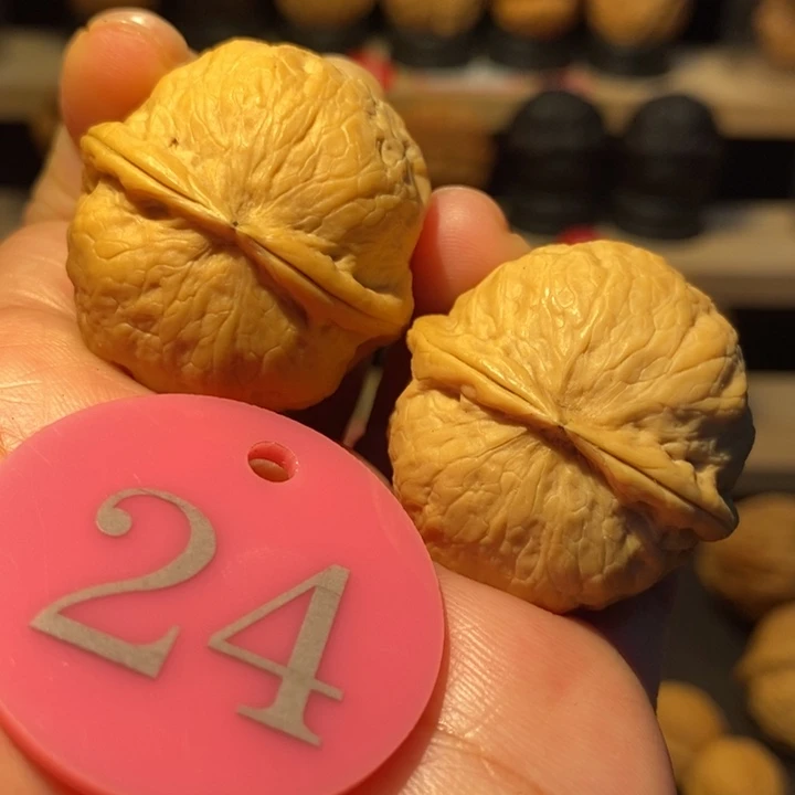 木质类冰宝宝34尺寸