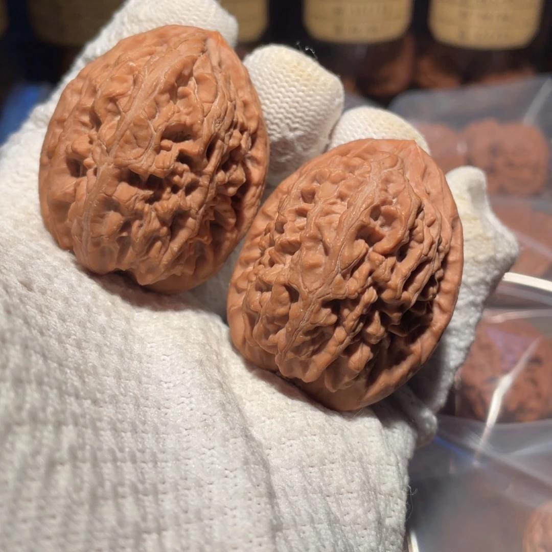 核桃43洪锦鲤mmmmmm