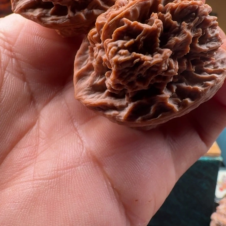 文玩核桃吊坠野生钻天燕子