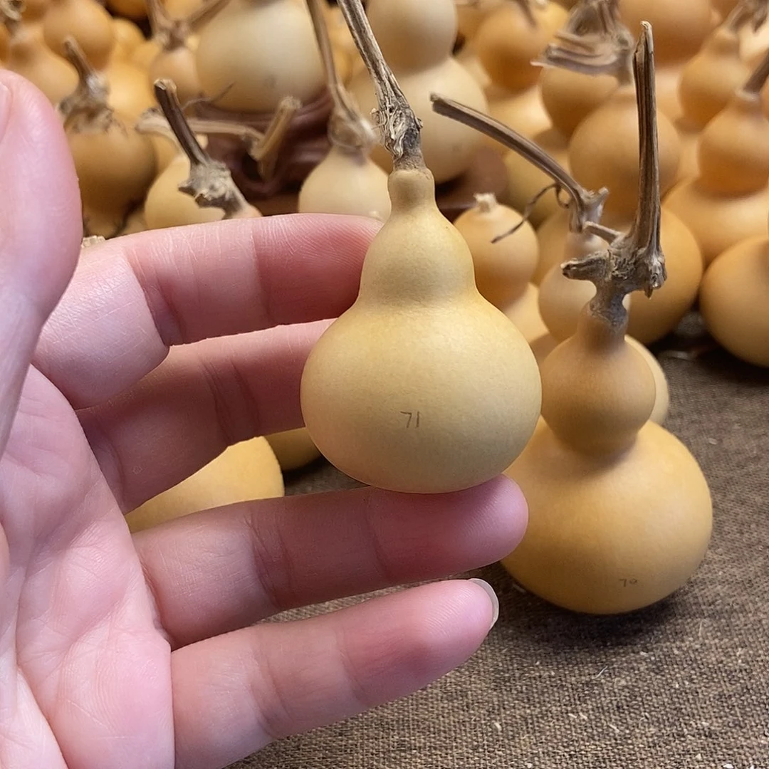 文玩葫芦 完美主义者 慎拍71