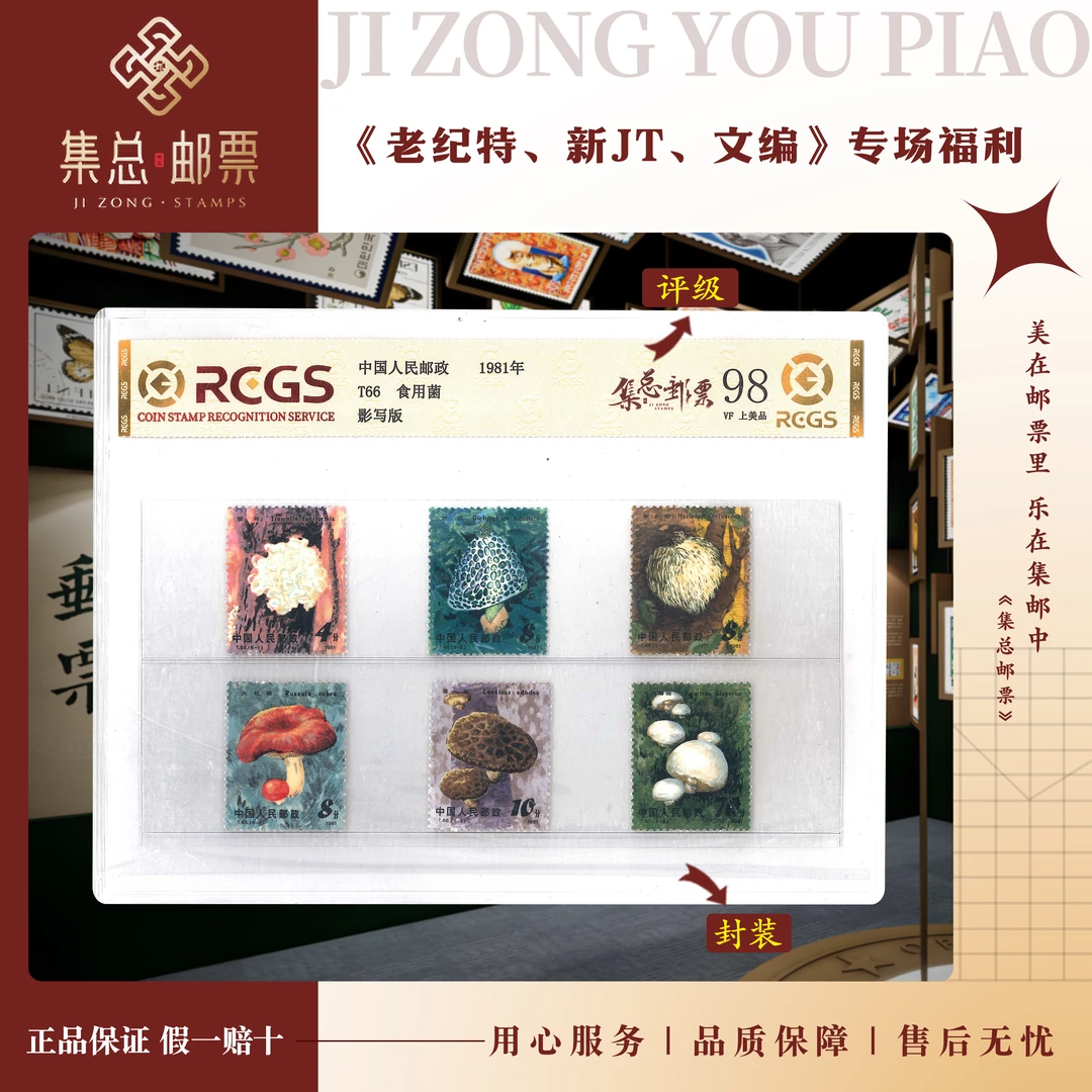 【集总邮票】集邮1981年发行 T66  食用菌   中钱国信98分评级邮票
