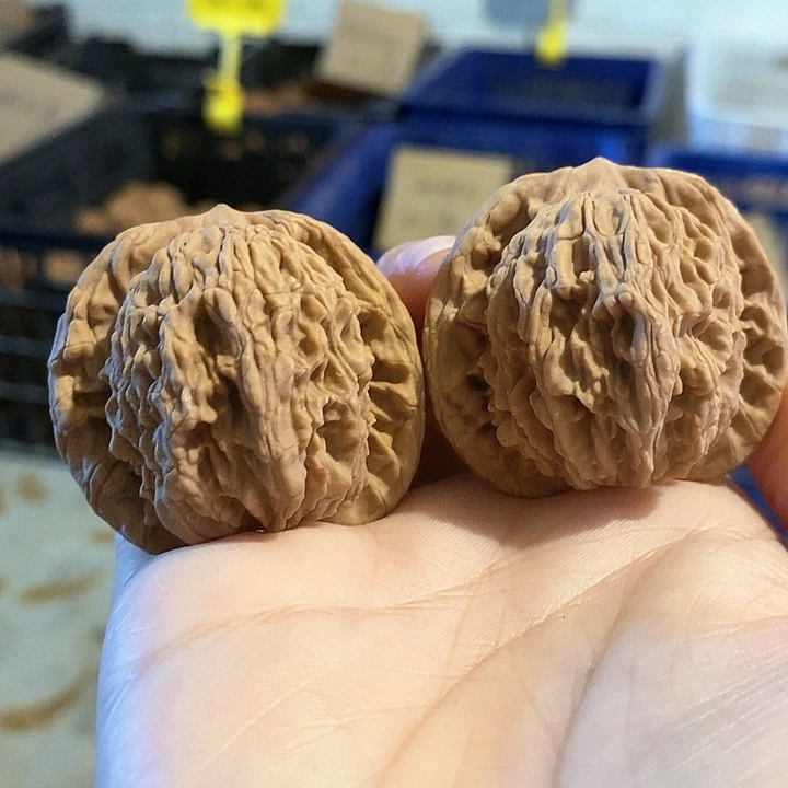 核桃手串/手链虎头