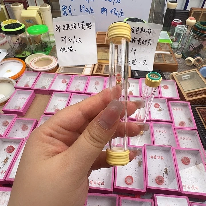 全品黄蛉筒一个………………