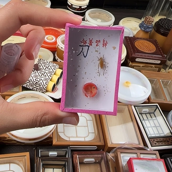 刀***锋蟋蟀刀大黄一只包邮