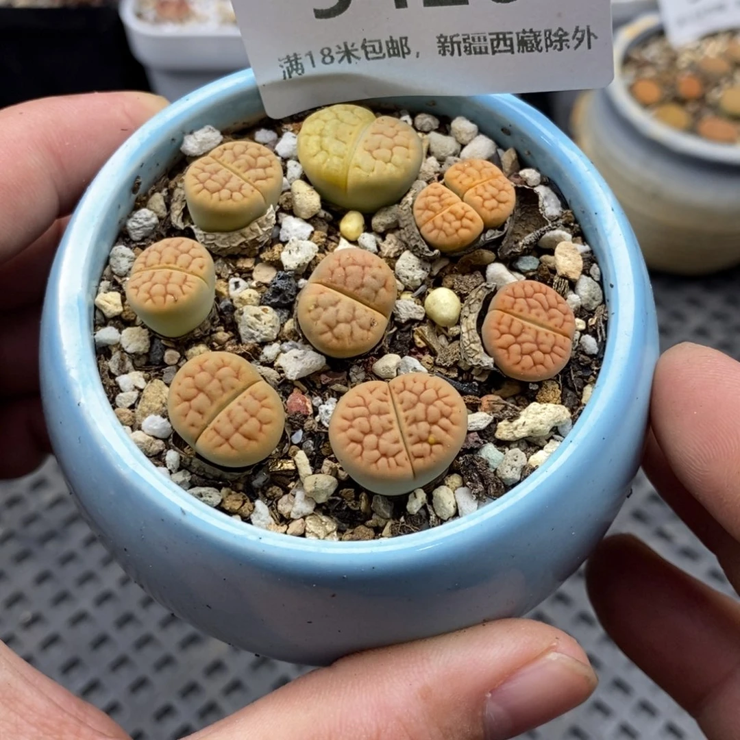 9426。
