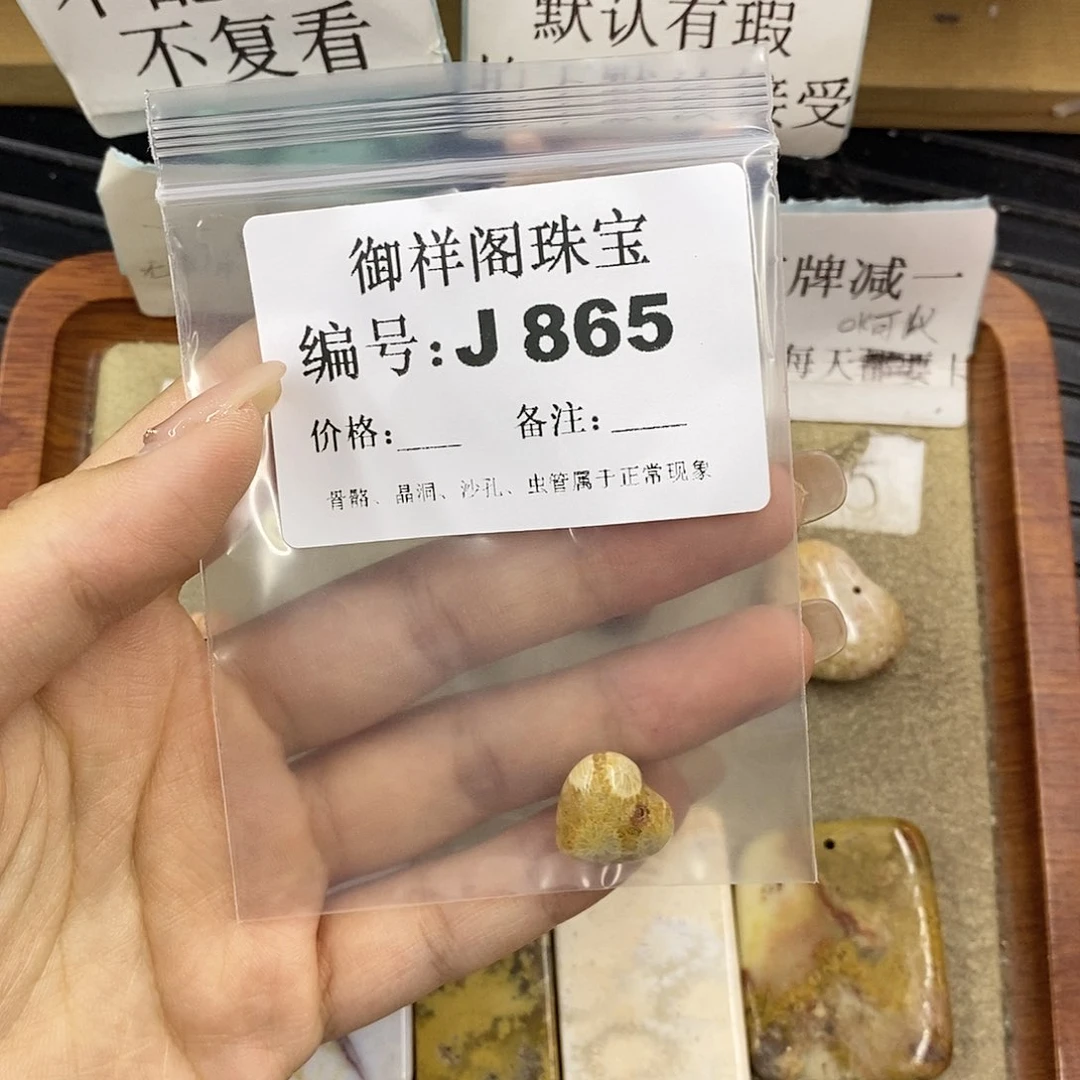 硅化珊瑚（珊瑚玉）未镶嵌颈饰不**夜