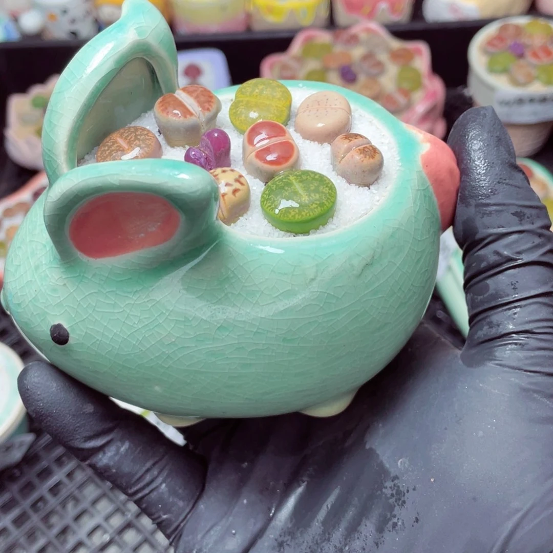 w9194-加一个镊子，-零下地区拍保温箱，-15度支持寄养