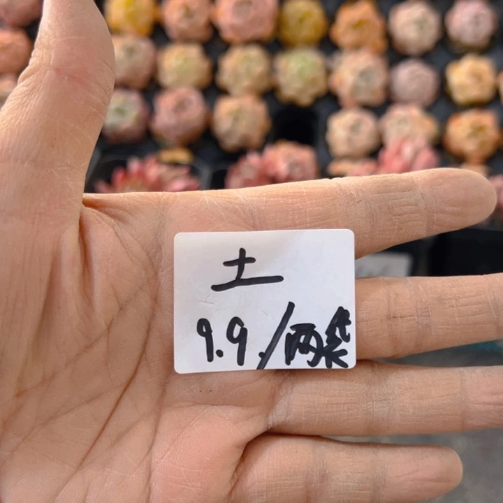 土，一单两袋发货