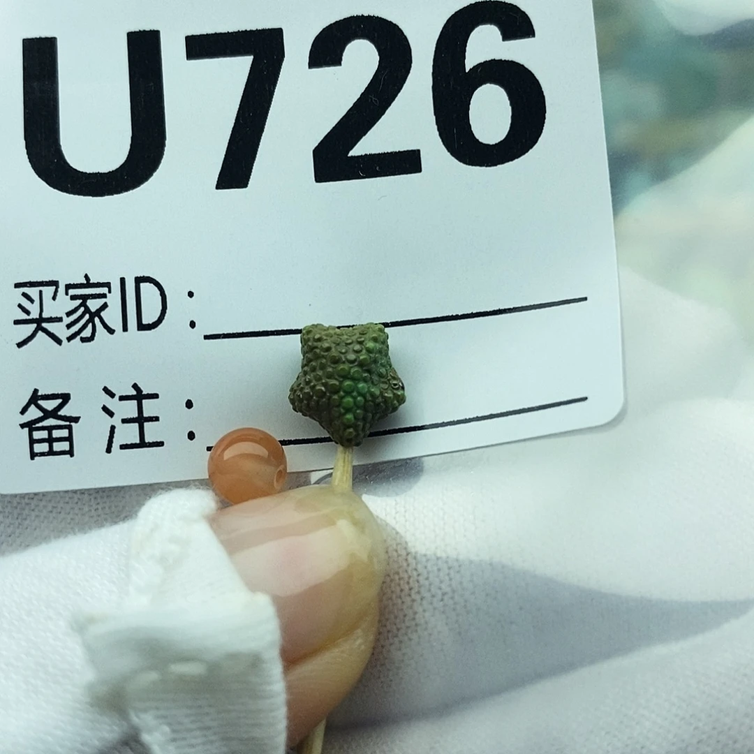 未镶嵌配饰南红玛瑙