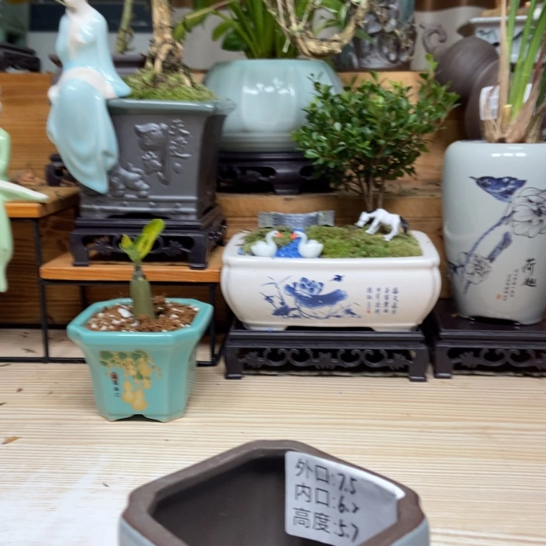 紫砂茶杯紫砂花盆陶瓷