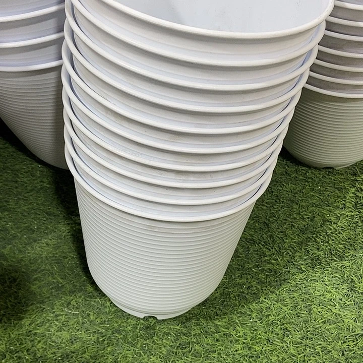 塑料23Ａ白色24元10个