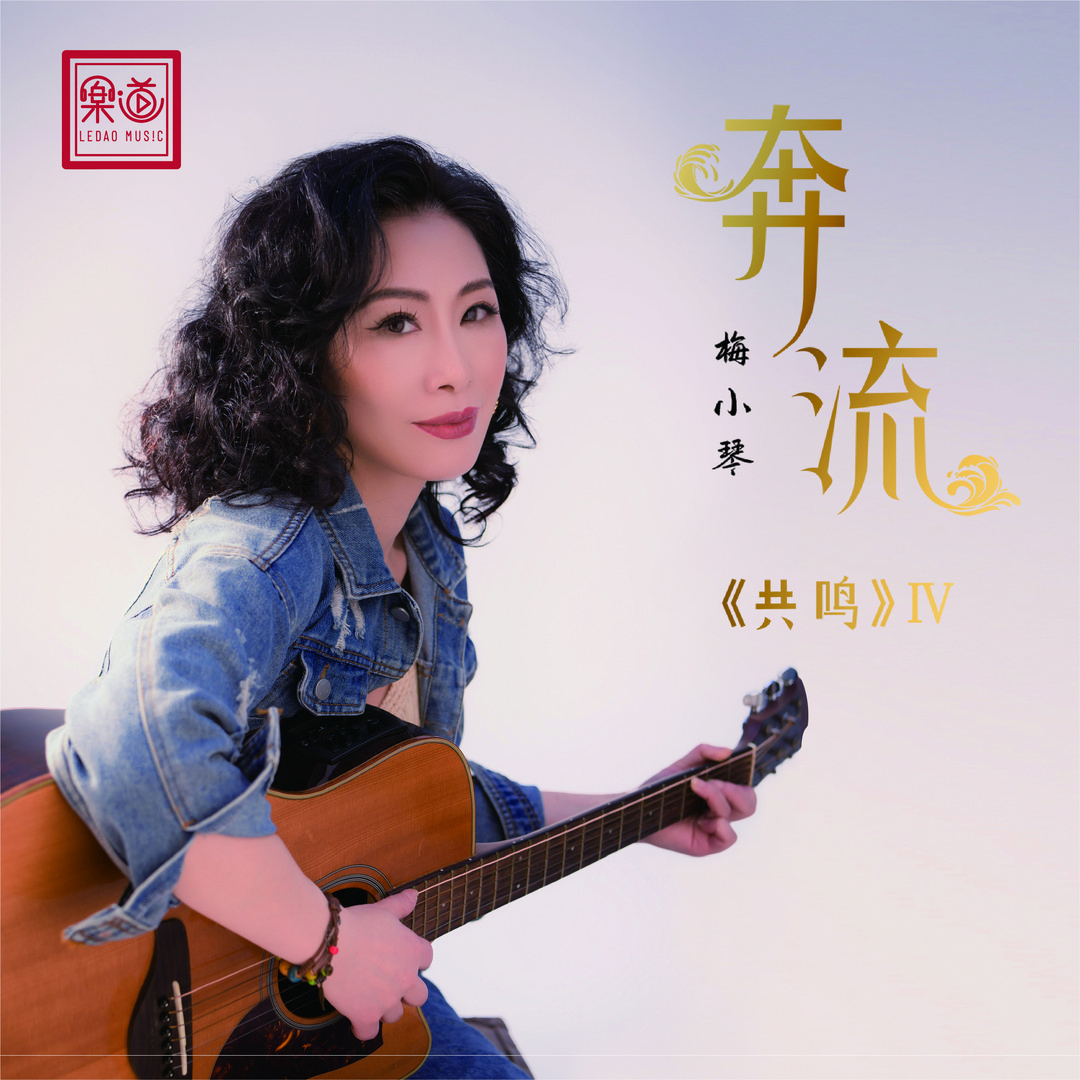 梅小琴《共鸣4•奔流》，正版CD专辑
