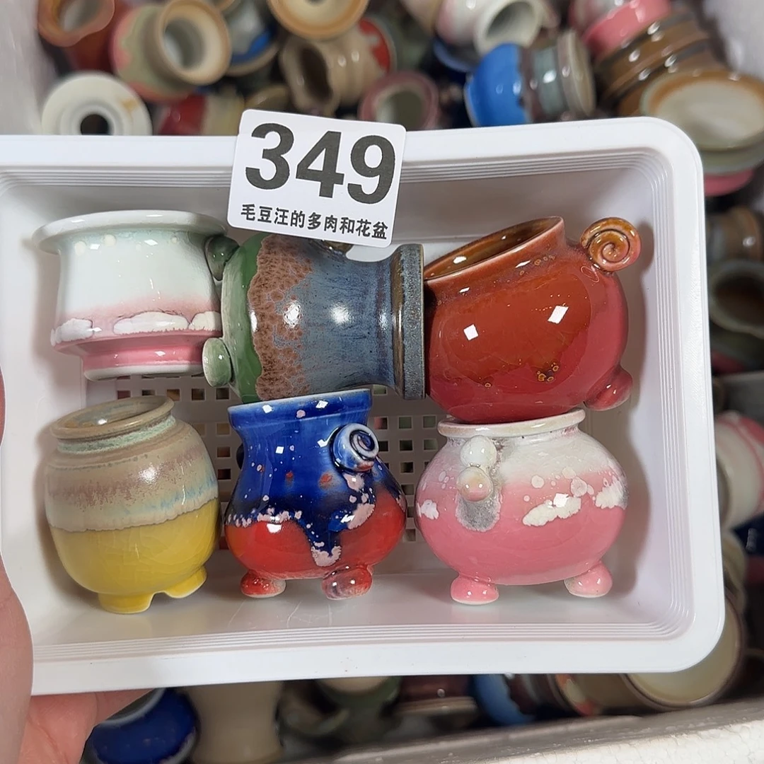 冬***雪349 瑕疵特惠 六只 盆no退no换