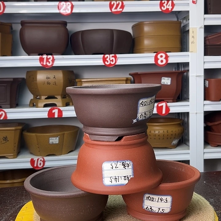 花盆紫砂你在家等