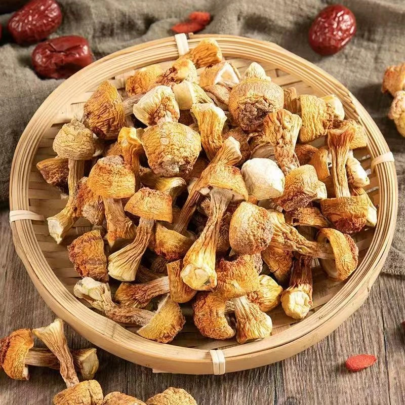 姬松茸干货250g莆田特产松茸菇巴西菇无硫无添加炖鸡煲汤食材菌菇