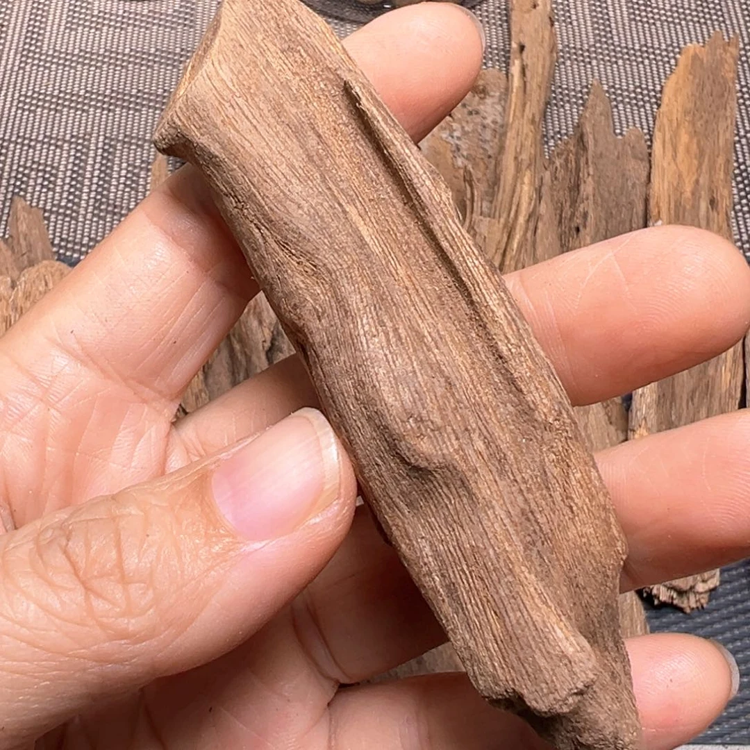 宝***旦香榧木熟结虫漏12克