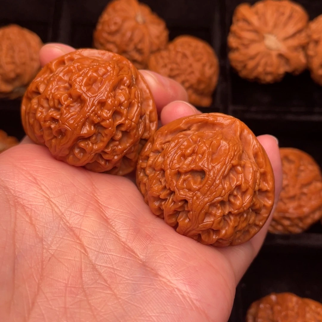 秦岭野生核桃文玩