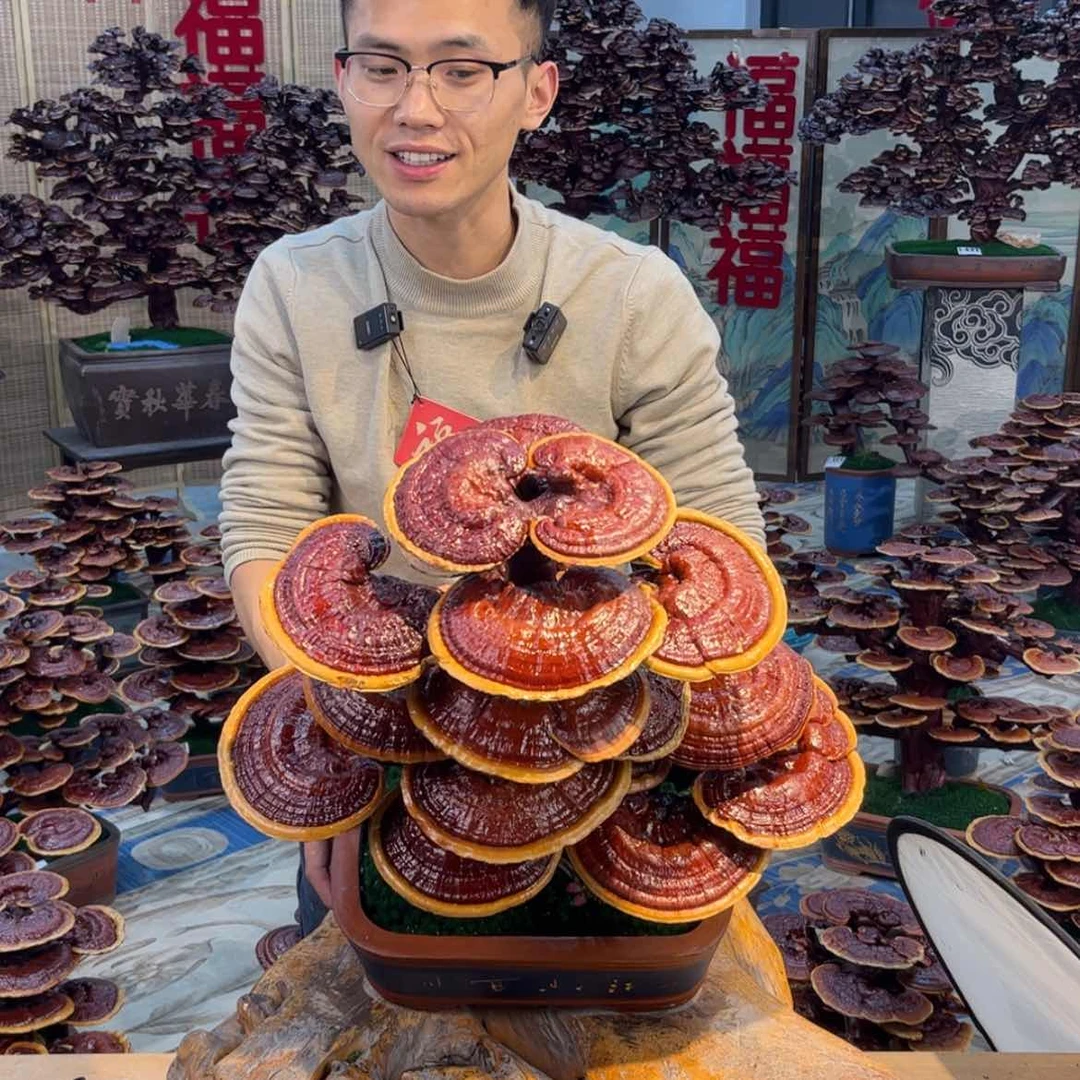 【闪购商品】88888