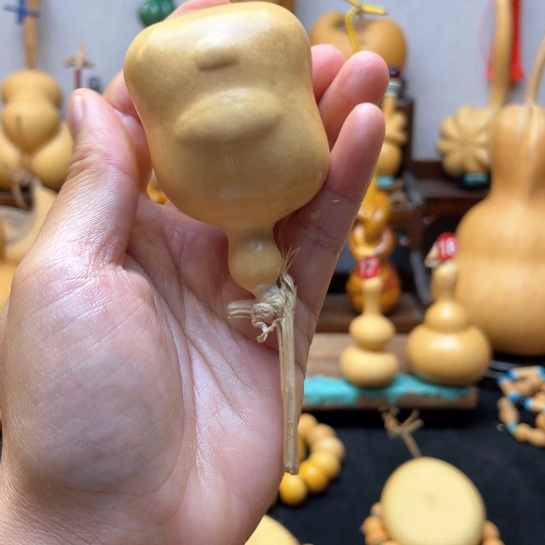 佳*大自然的秘密第十一节的秘密